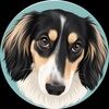 virtualsaraho